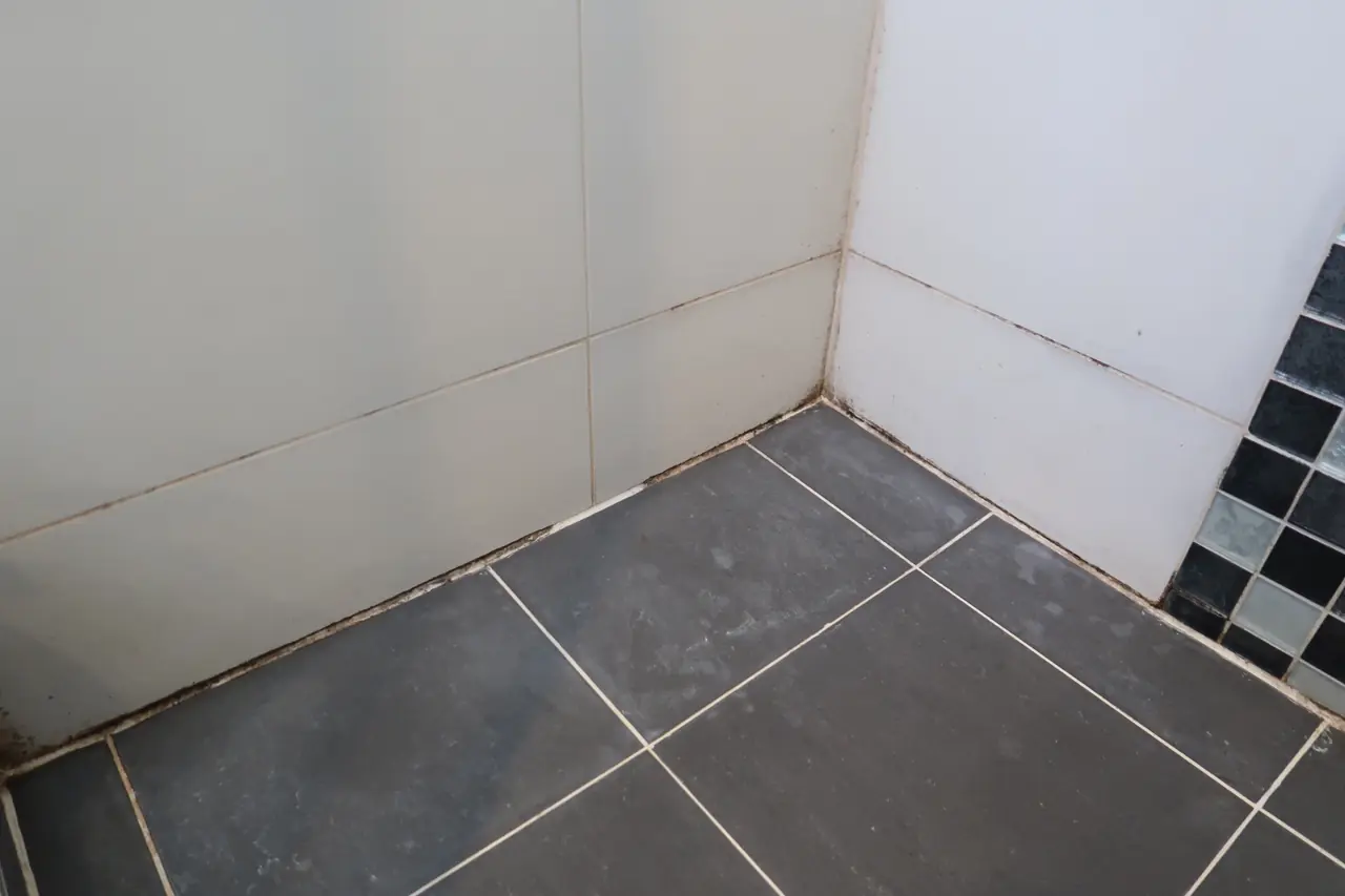 Shower floor and mosaic corner with mould stains along the grout lines, before cleaning