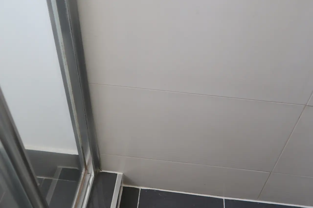 Same shower door corner cleaned with no mould left